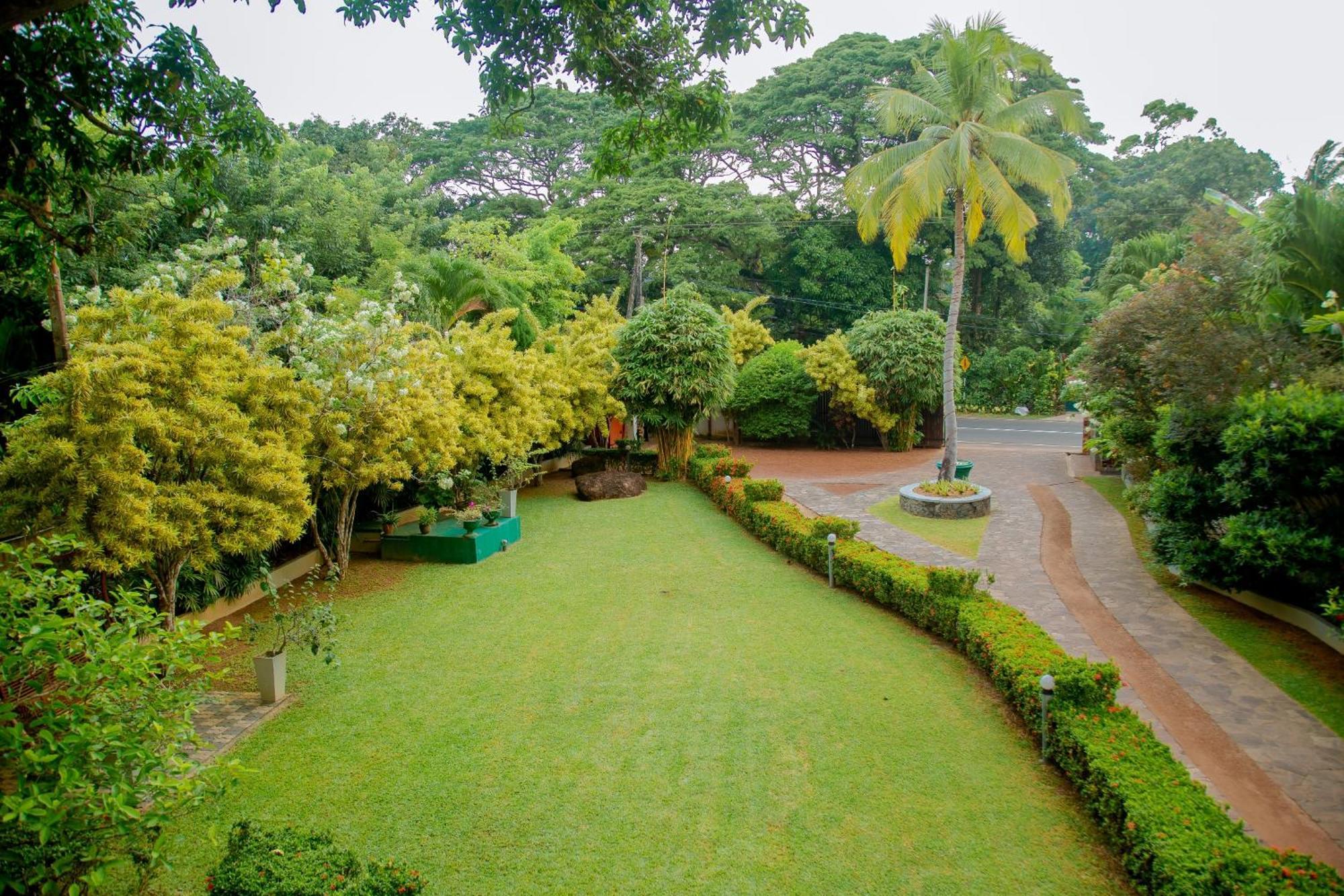 Rockery Villa Ayurveda Bentota Eksteriør billede