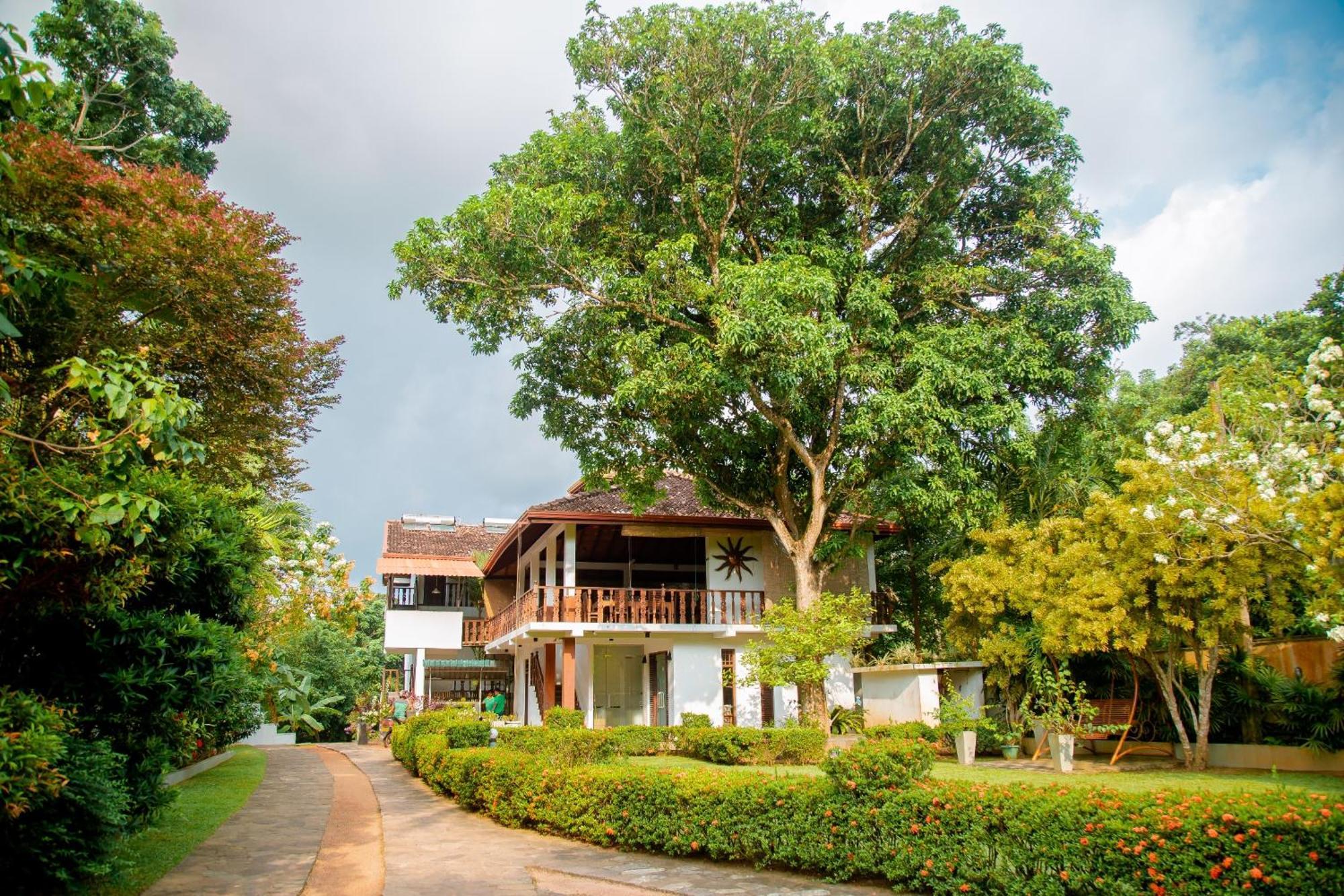 Rockery Villa Ayurveda Bentota Eksteriør billede