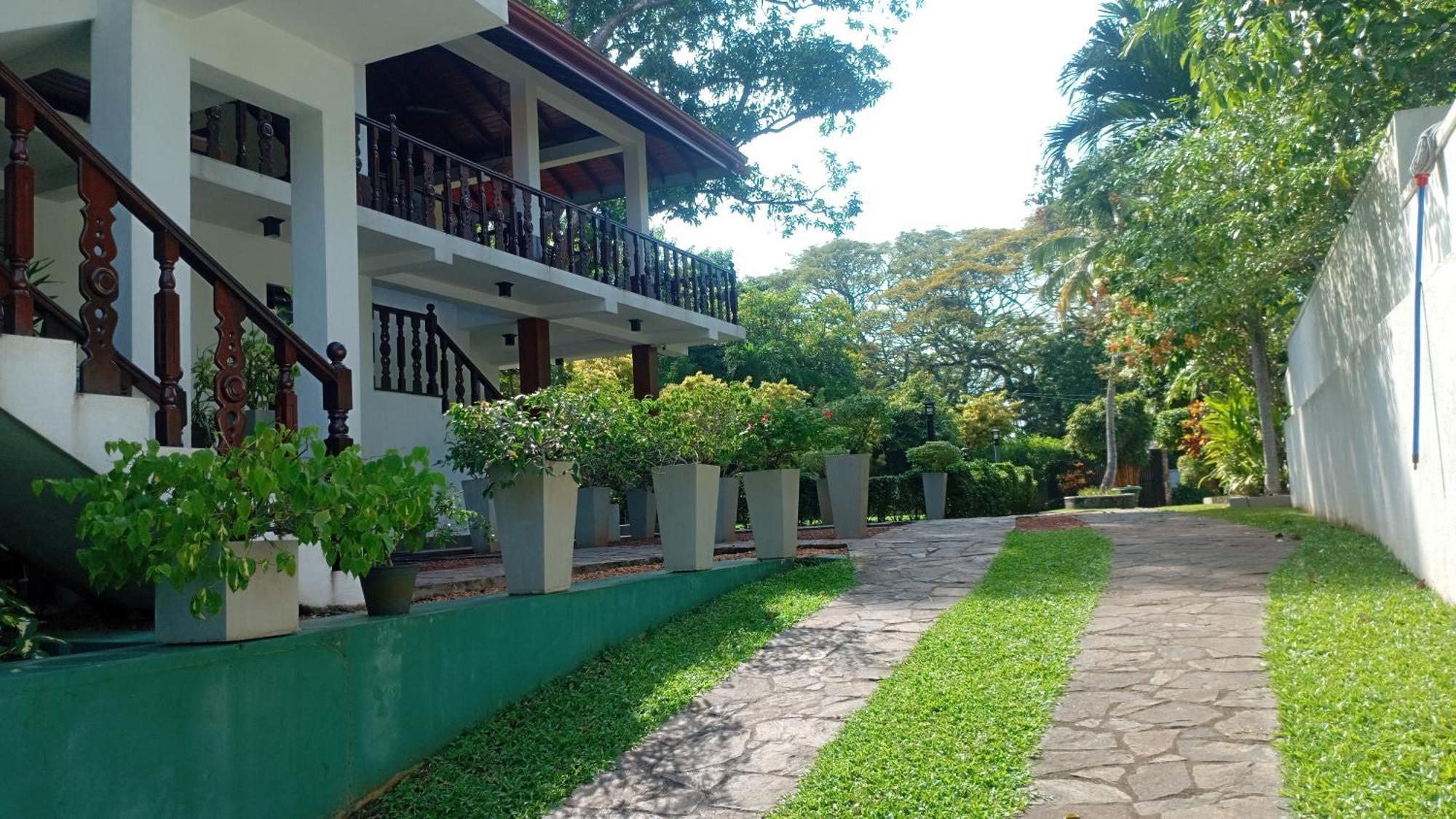 Rockery Villa Ayurveda Bentota Eksteriør billede