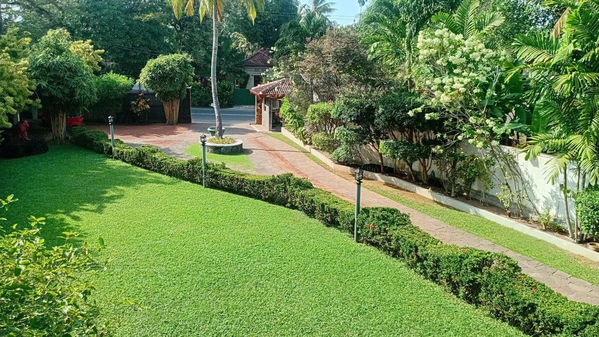 Rockery Villa Ayurveda Bentota Eksteriør billede
