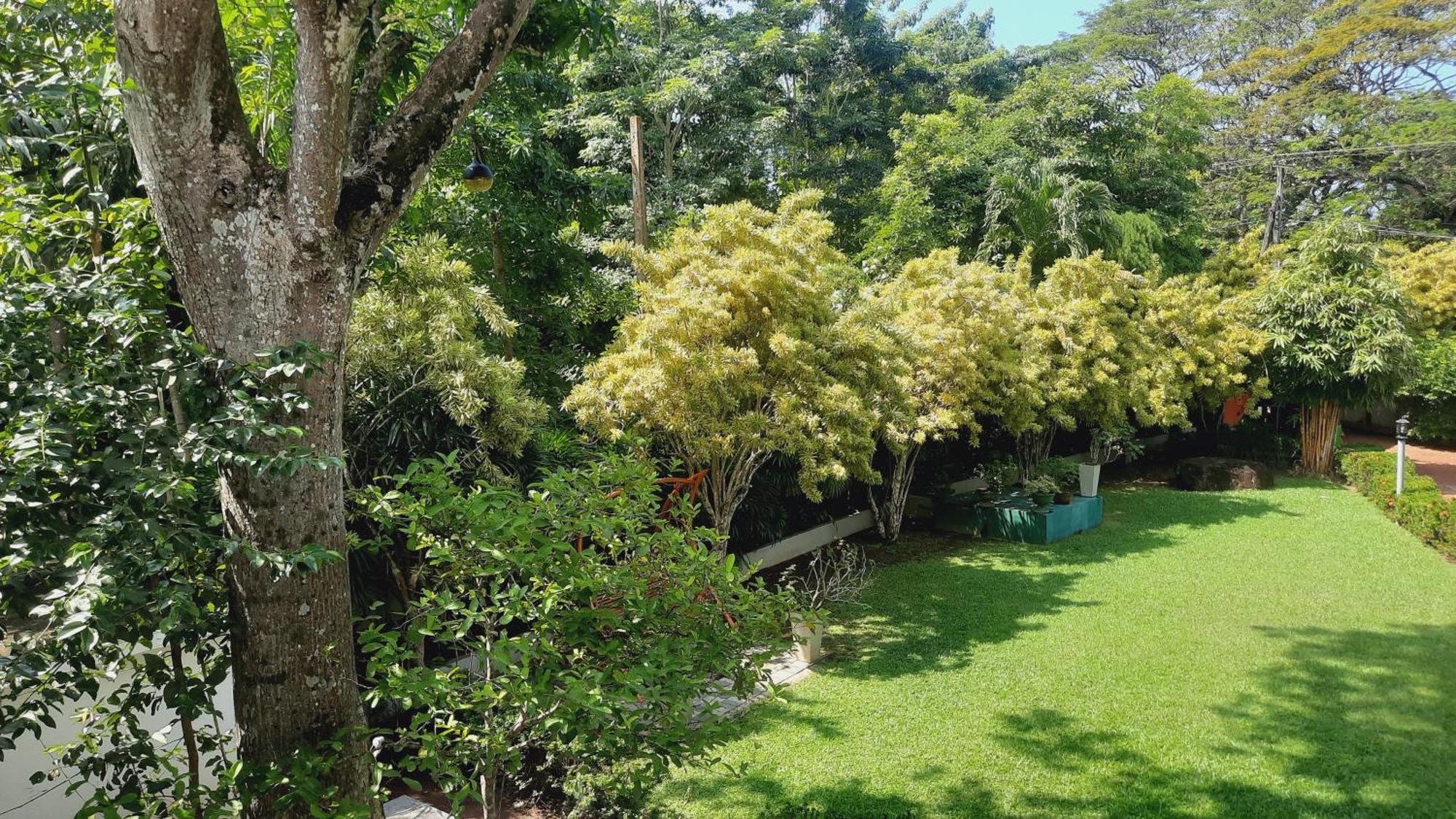 Rockery Villa Ayurveda Bentota Eksteriør billede